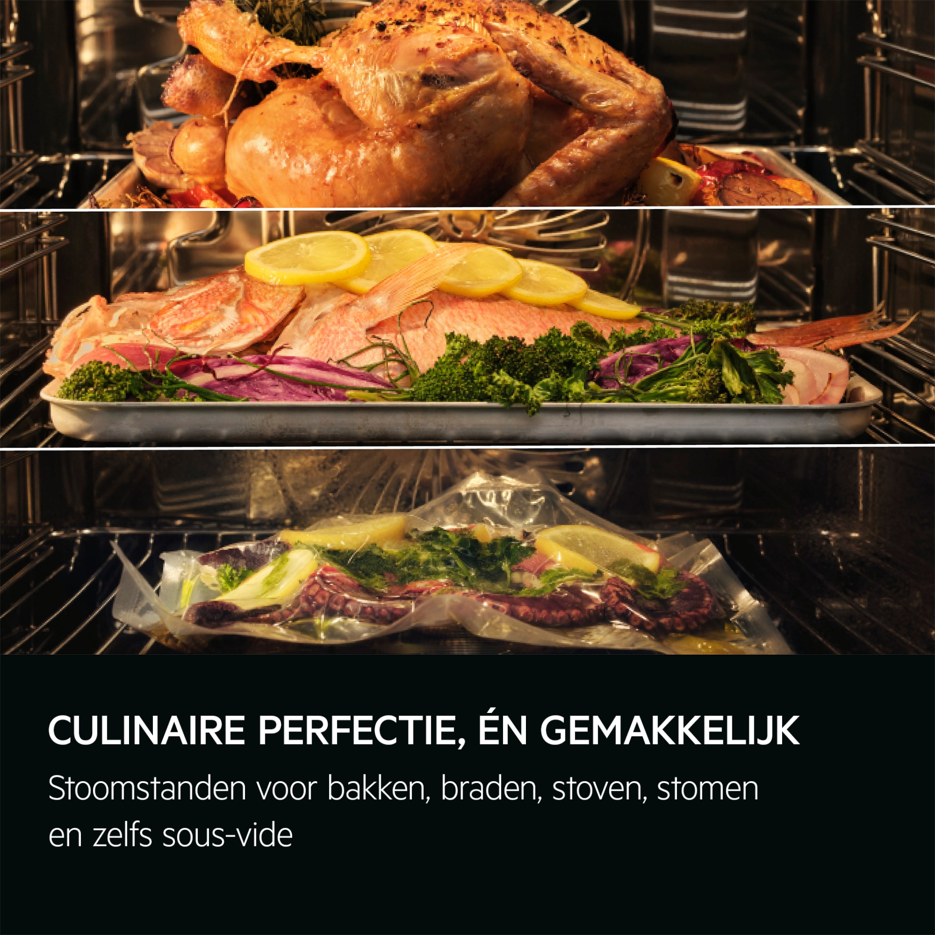 AEG 8000 multifunctionele oven met stoom - 60cm - NBB8S731AB