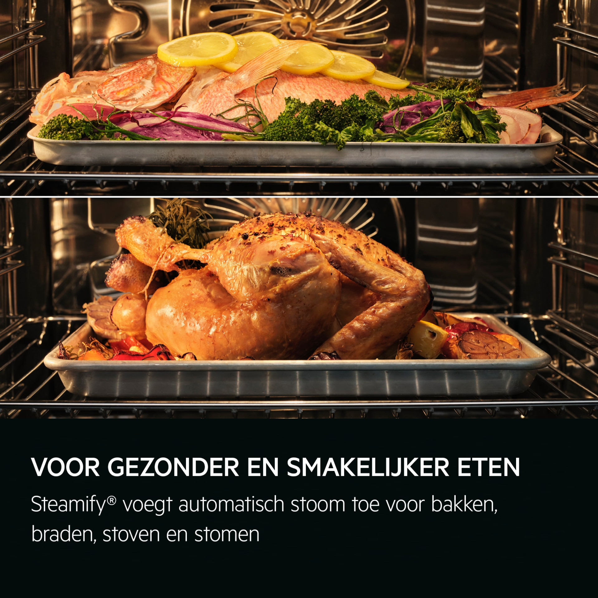 AEG 8000 multifunctionele oven met stoom - 60cm - NBB8S731AB