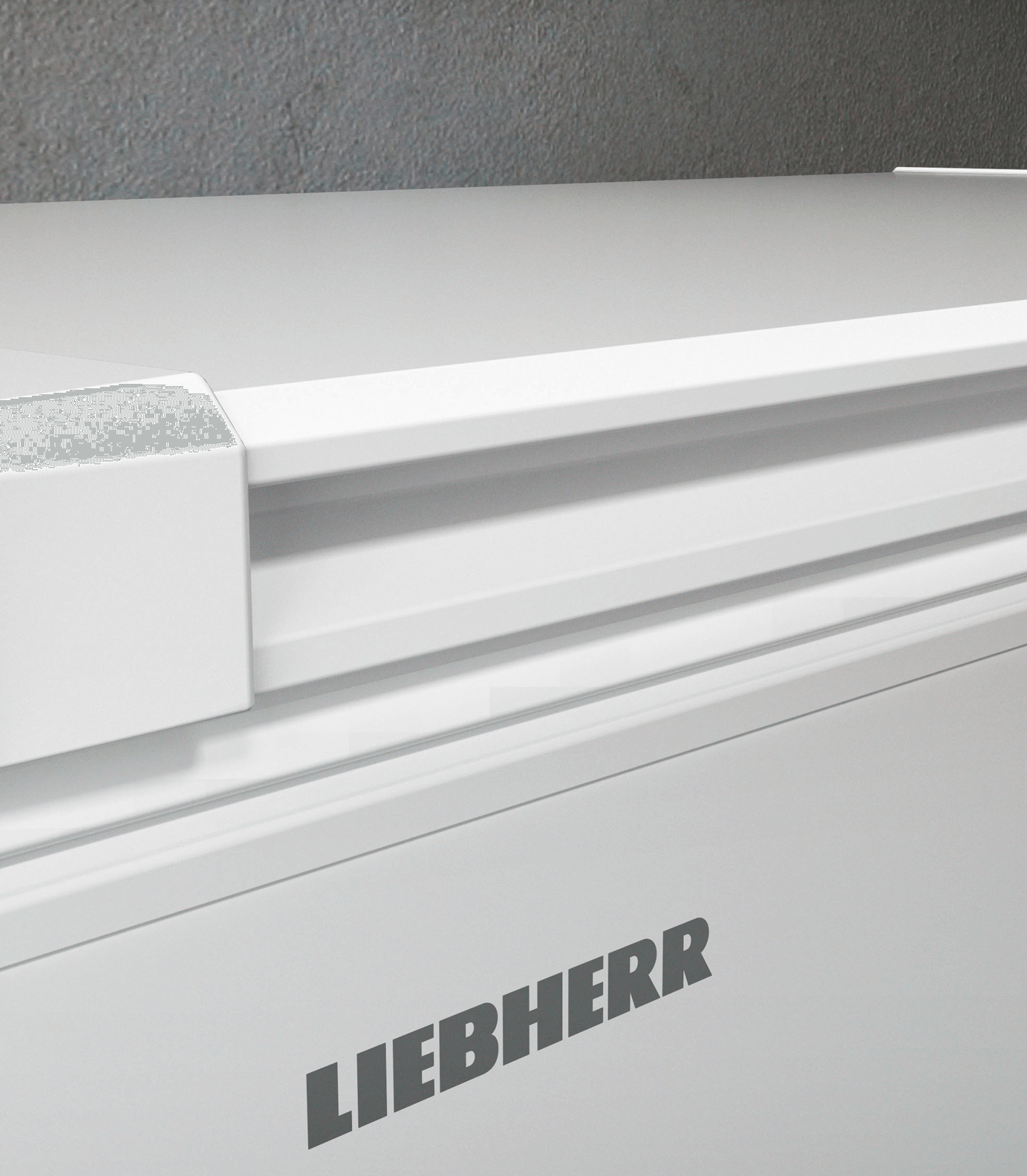 LIEBHERR Diepvrieskist - CFD208526