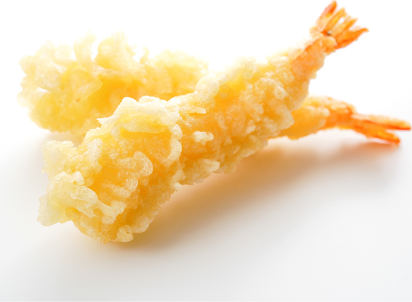 FRITEL Friteuse - 137620
